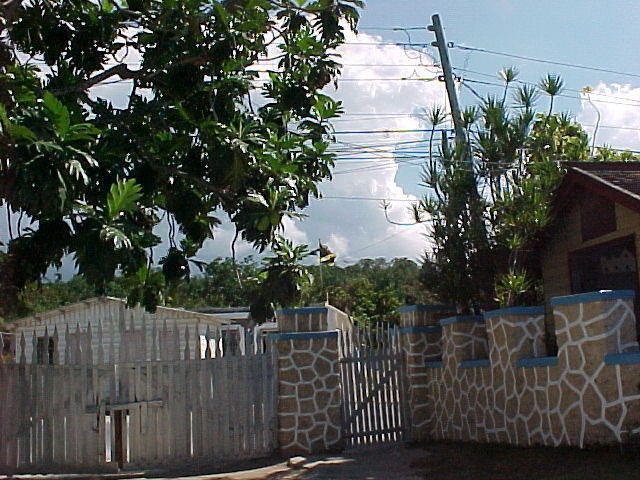 MVC_012F.jpg