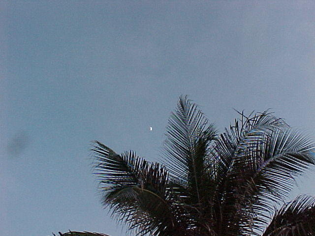 moon