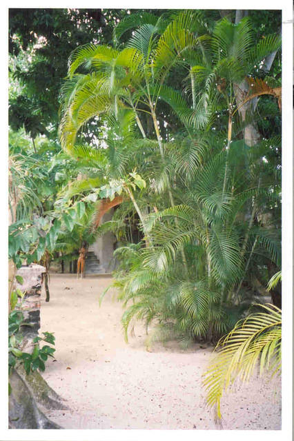 Grounds at Nirvana