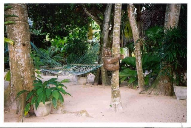 More Nirvana grounds