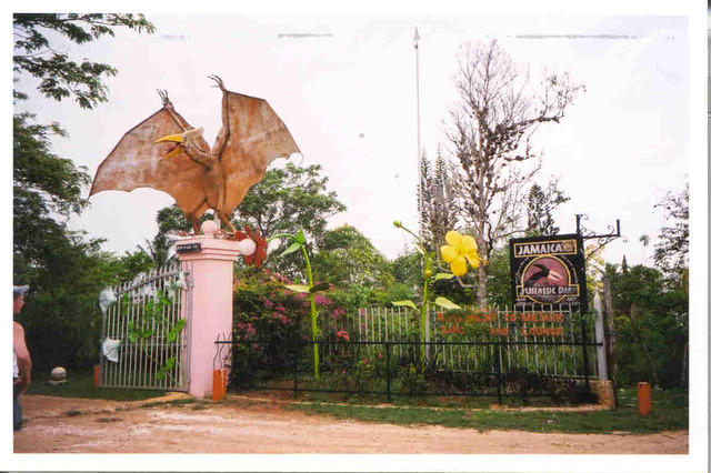 Jurrasic Park (Negril style)