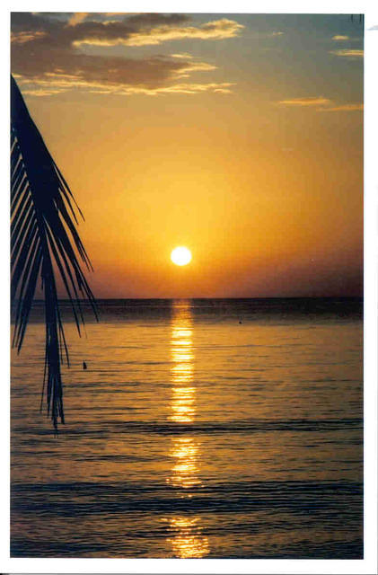 sunset