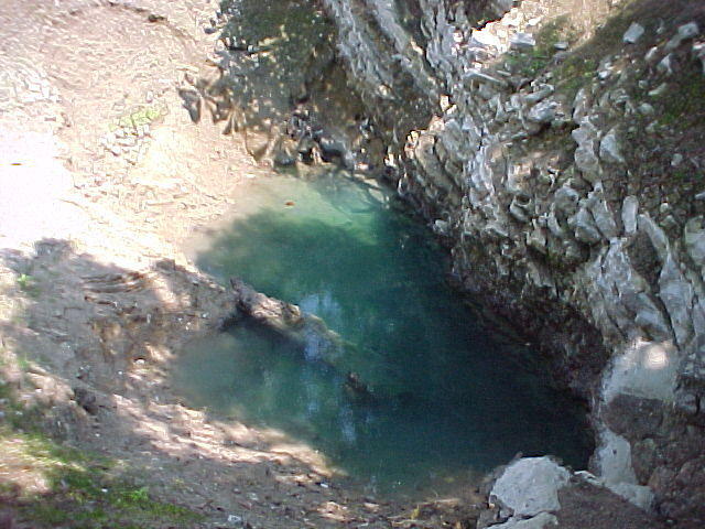 MVC_001F_006.jpg
