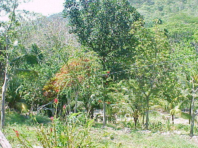 MVC_001F_010.jpg