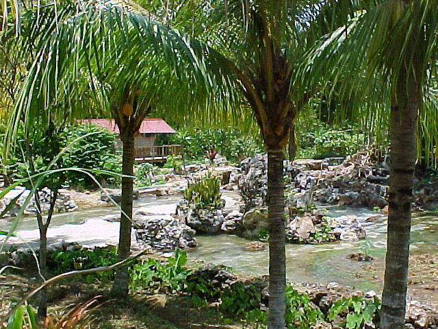 MVC_001F_014.jpg