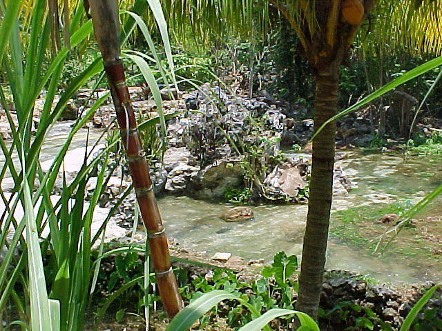 MVC_002F_012.jpg