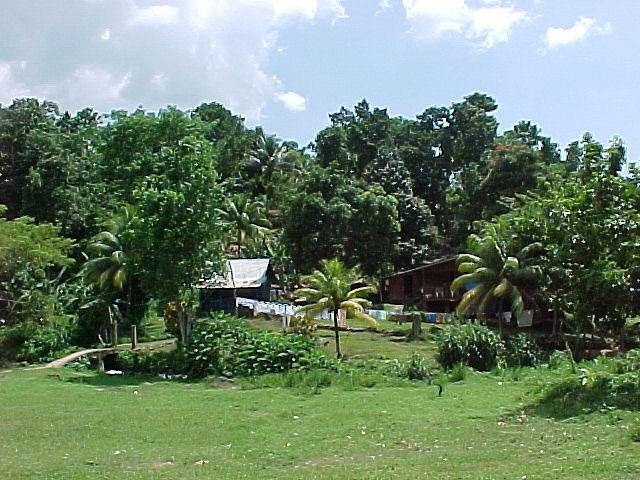 MVC-003F