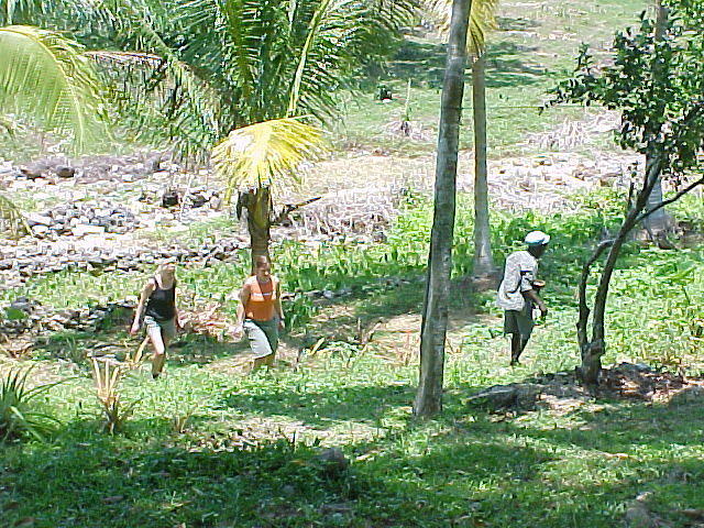 MVC_003F_009.jpg