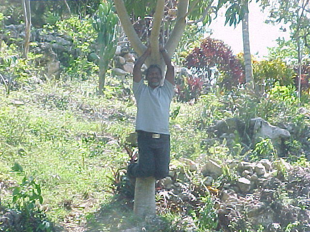 MVC_003F_010.jpg