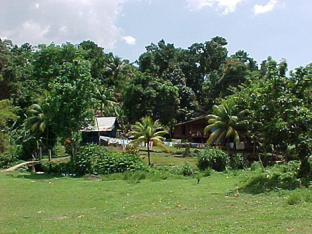 MVC-004F
