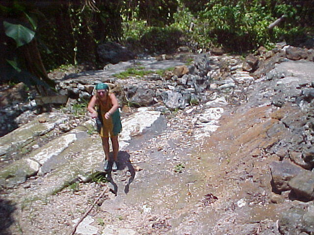 MVC_004F_008.jpg