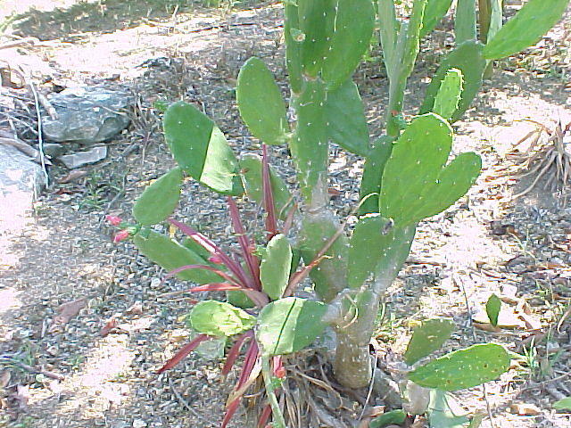 MVC_004F_010.jpg