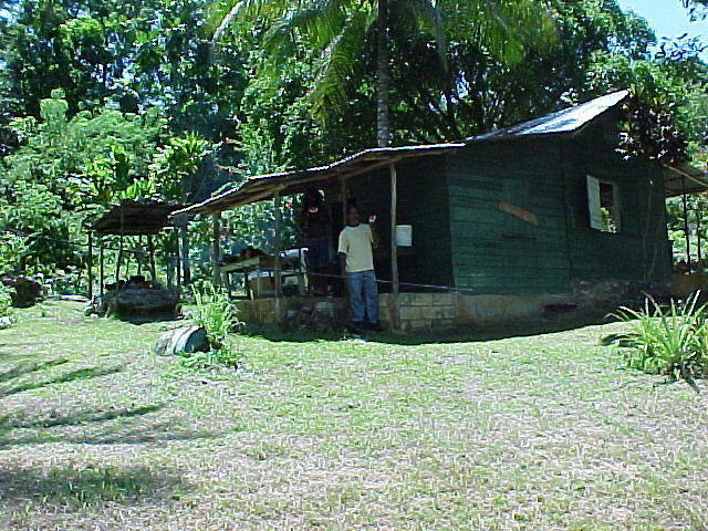 MVC-005F