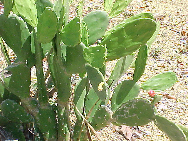 MVC_005F_009.jpg