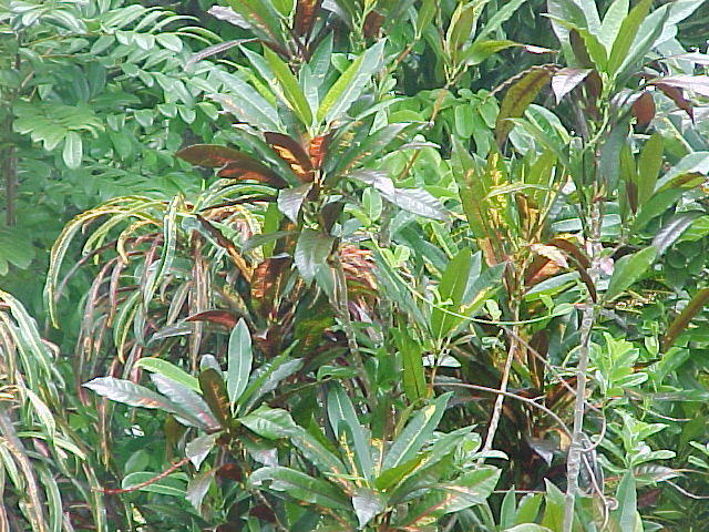 MVC_005F_011.jpg