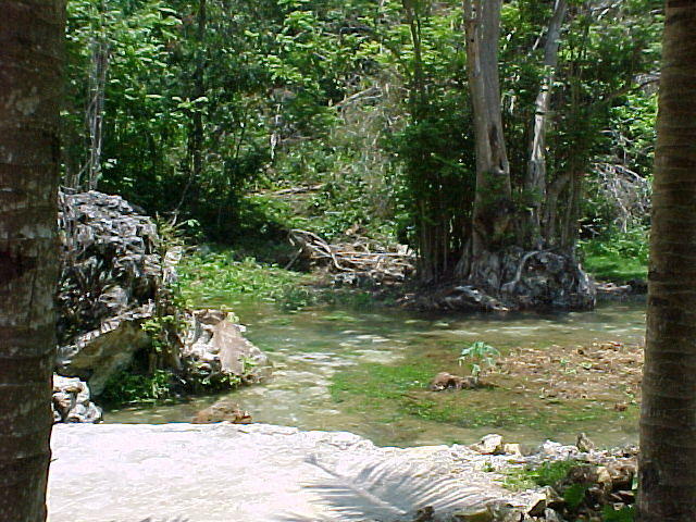 MVC_005F_013.jpg