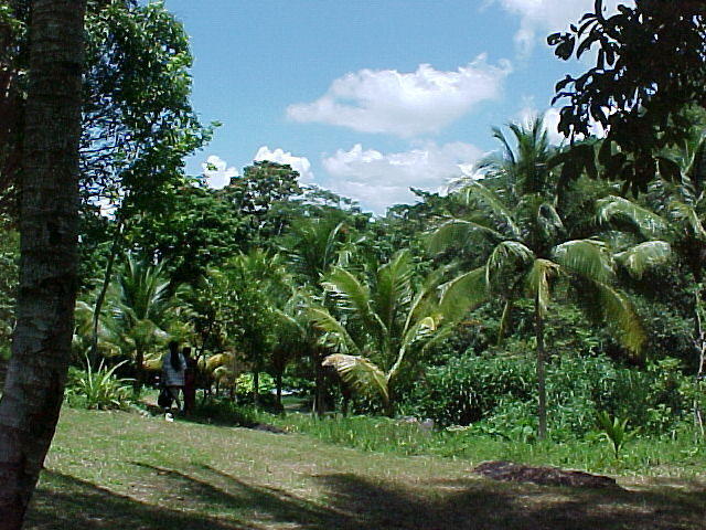 MVC-006F