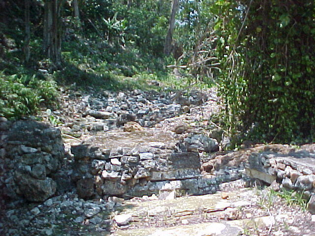 MVC_006F_007.jpg