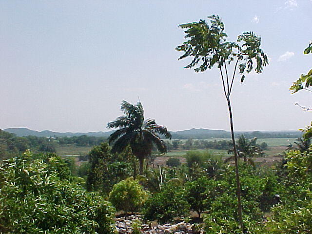 MVC_006F_009.jpg
