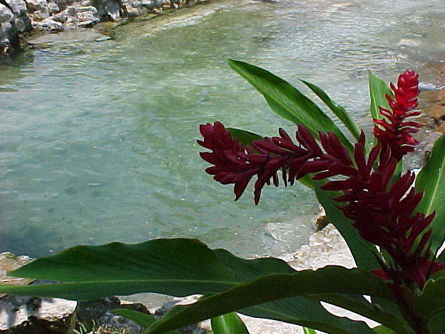 MVC_006F_012.jpg