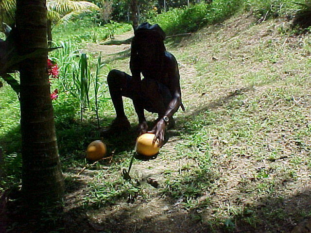 MVC-007F