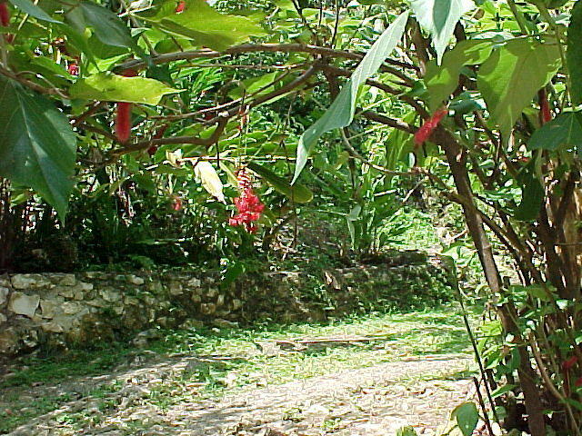 MVC-007F