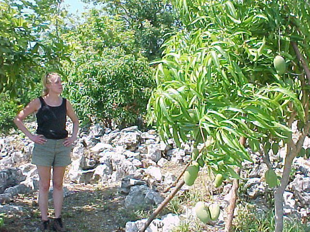 MVC_007F_008.jpg