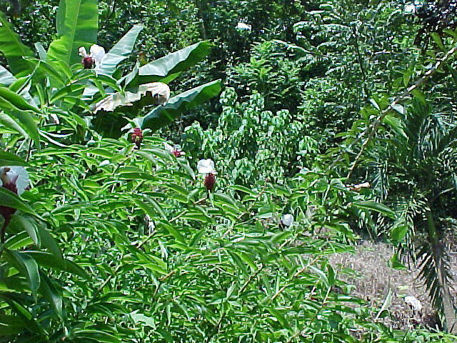 MVC-009F