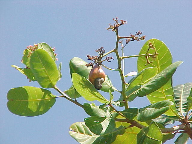 MVC_009F_007.jpg