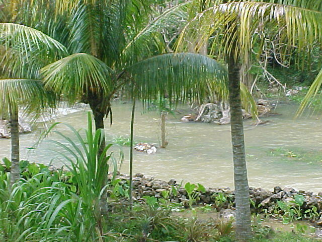 MVC_009F_008.jpg