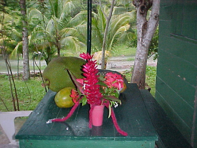 MVC_010F_011.jpg