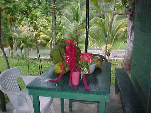 MVC_011F_006.jpg