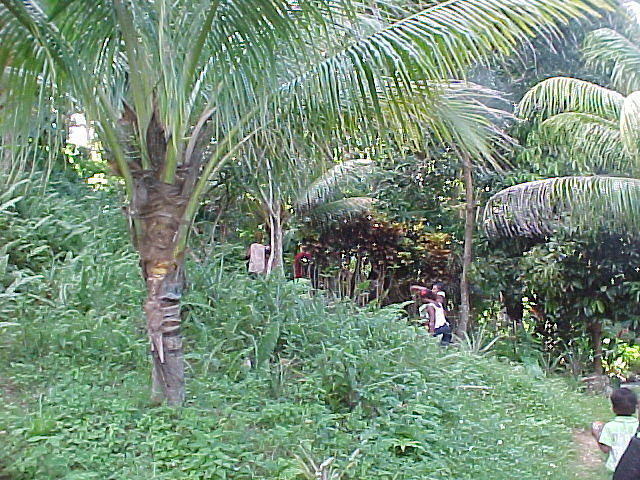 MVC-010F