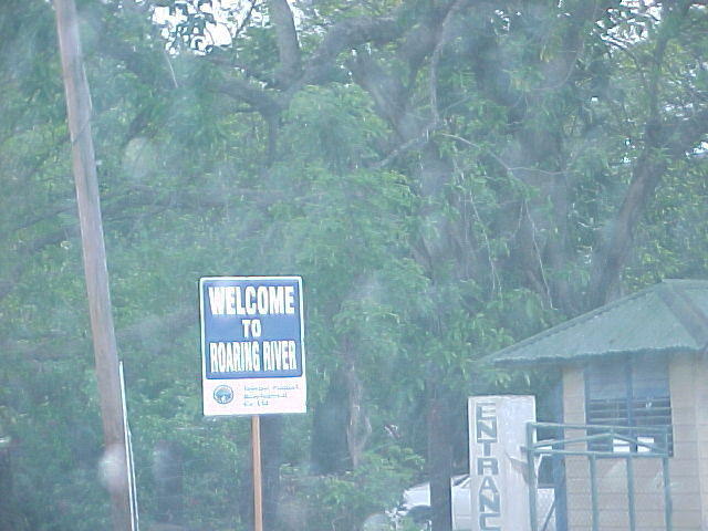 Past the pipe compound, you will be entering Roaring River. Drive past the cave and huge cottonwood tree on your left.