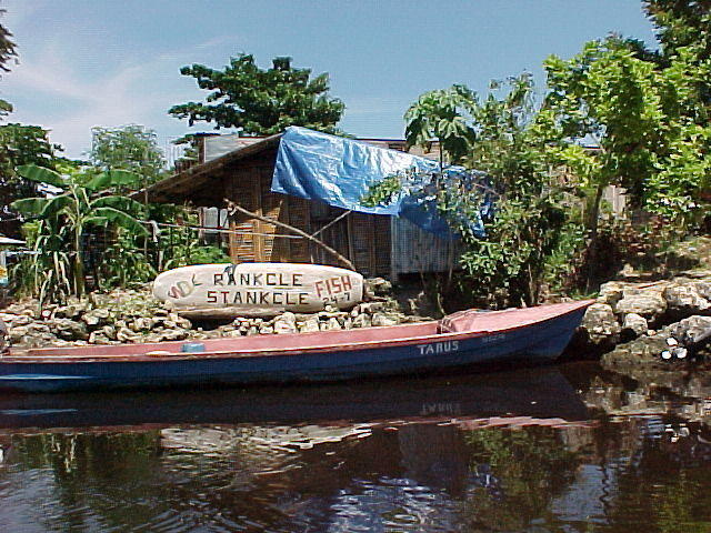MVC-003F