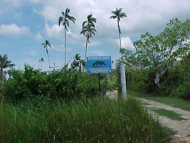 MVC-016F