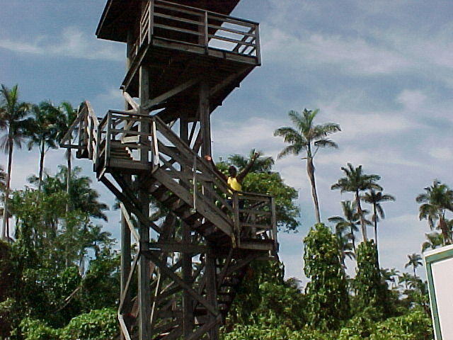 MVC-022F