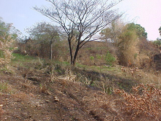 MVC_008F.jpg