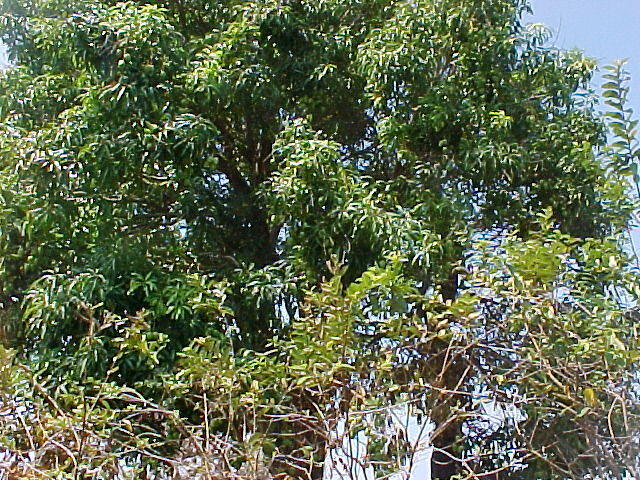 MVC_009F.jpg