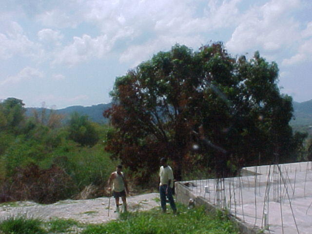 MVC_010F.jpg
