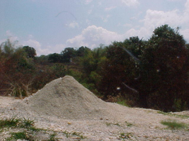 MVC_011F.jpg