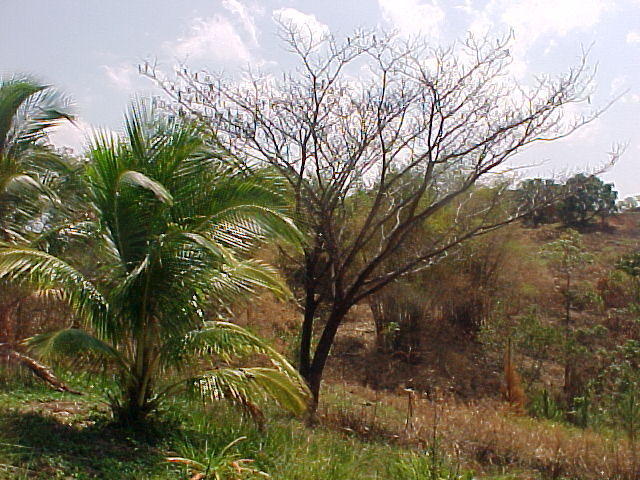 MVC_014F.jpg