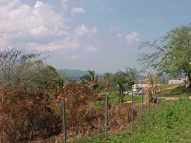 MVC_018F.jpg