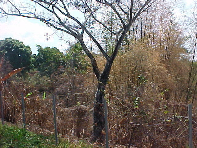 MVC_019F.jpg