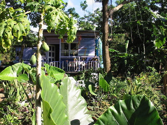 With the Half House nestling in the middle of it