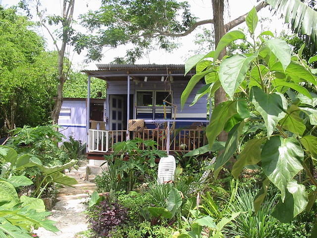 Then it got a bathroom & kitchen on the back ..Jamaica stylee .. built outa zinc & timber ..tiled & everyting! Febru