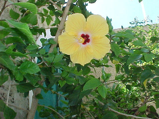 MVC-013F