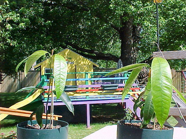 Mvc_002f_002.jpg