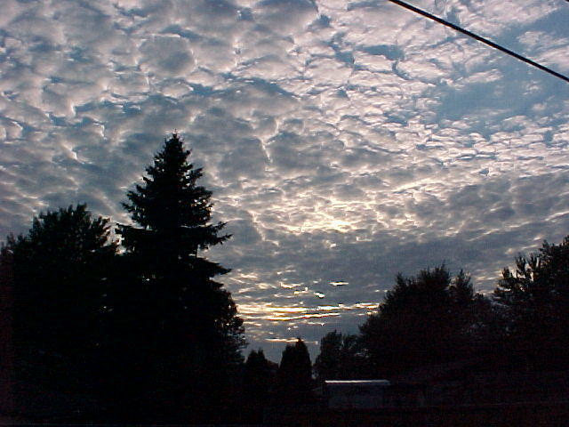 Mvc_003f_009.jpg
