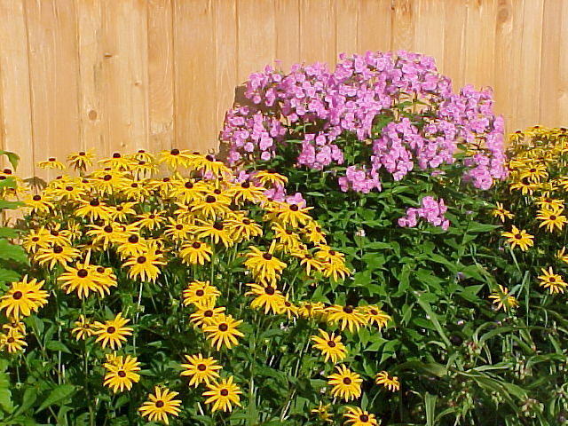 Mvc_004f_005.jpg